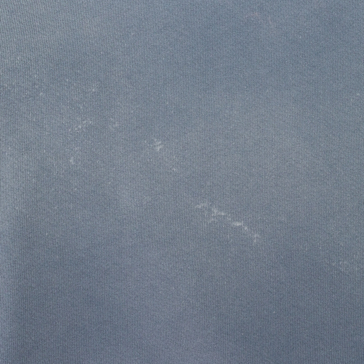 BLUE LOGO HOODIE